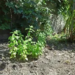 Prázdninový dům Casa Volcanalia Vulcano (Isola)